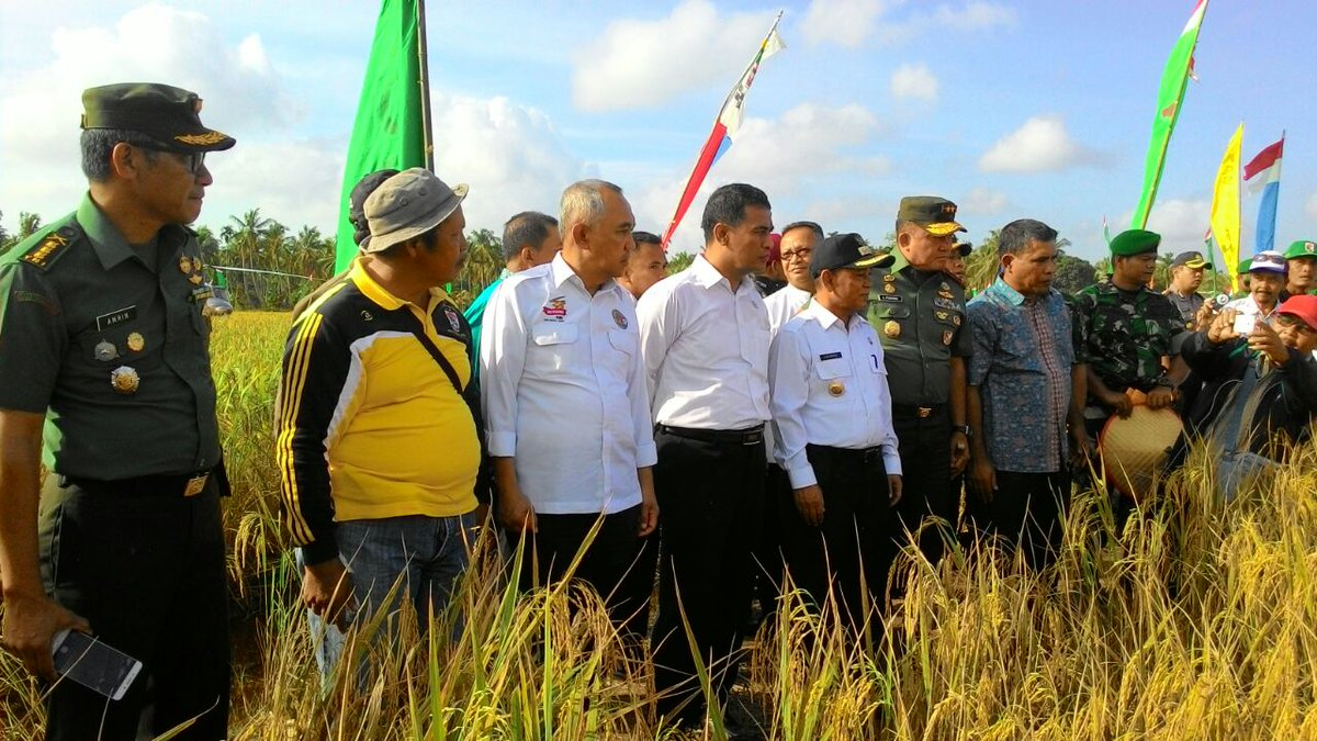 Menuju Kemandirian Pangan, Pelalawan Bangun Ribuan Persawahan 